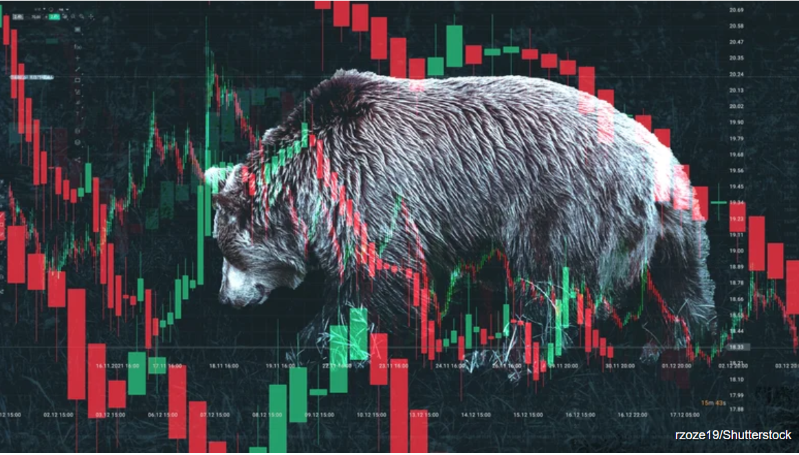 The Importance of Cash Reserves in a Bear Market
